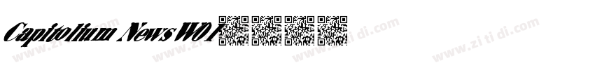 Capitolium News W01字体转换